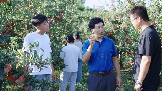 【中国青年报】鲁东大学教授司炳成、赵英：改一方“土” 造一方福